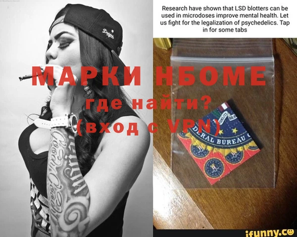 прущие грибы Нягань