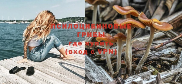 героин Няндома