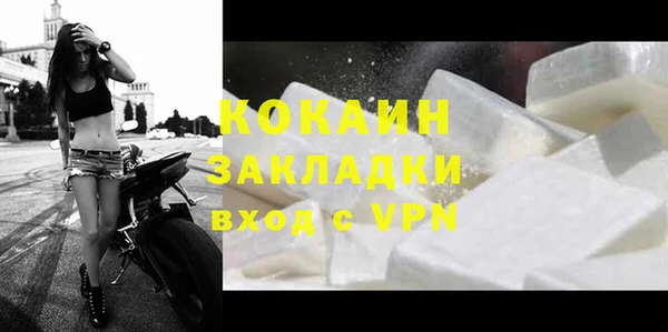 прущие грибы Нягань