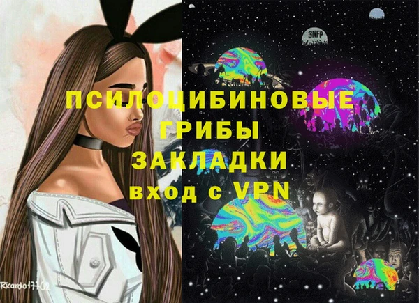прущие грибы Нягань