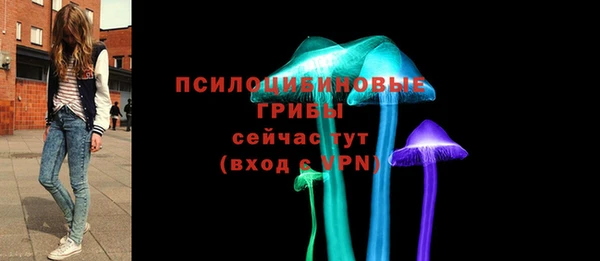 прущие грибы Нягань
