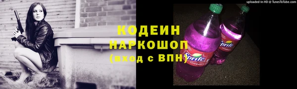 прущие грибы Нягань