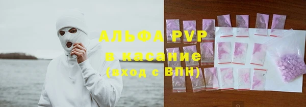 прущие грибы Нягань