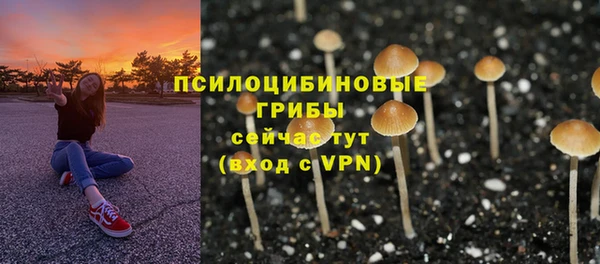 героин Няндома