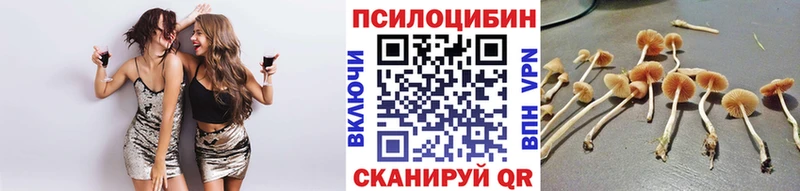 Галлюциногенные грибы Magic Shrooms  Усолье-Сибирское 