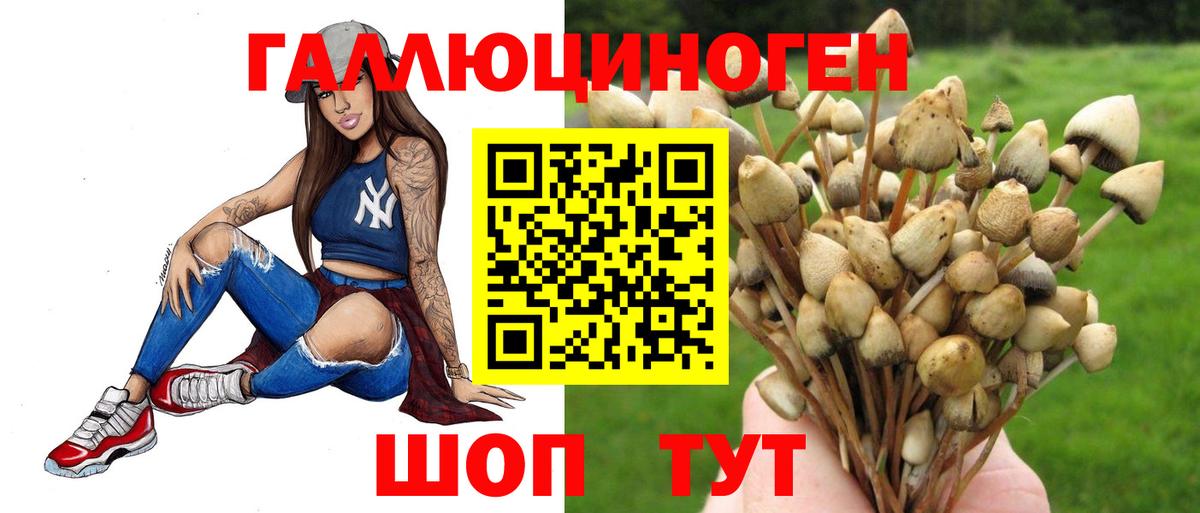 Псилоцибиновые грибы Cubensis Усолье-Сибирское