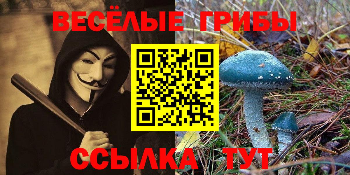 Усолье-Сибирское  Псилоцибиновые грибы Cubensis  даркнет сайт  Вход с VPN  Псилоцибиновые грибы мицелий 